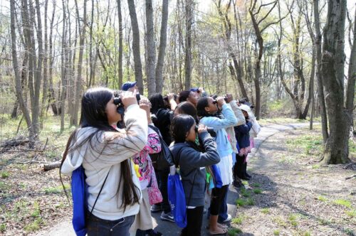 group of children bird watching with binoculars