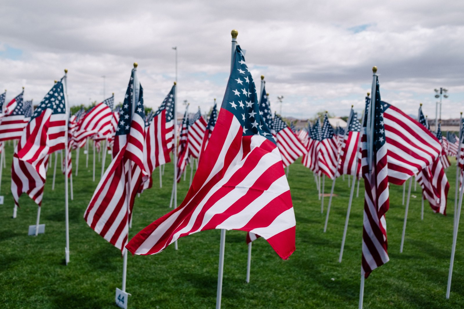 America Flags in ground
