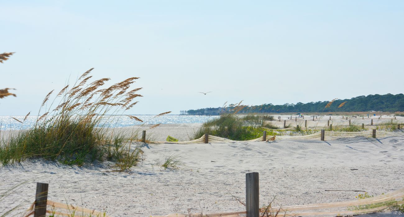 beach in dauphin island