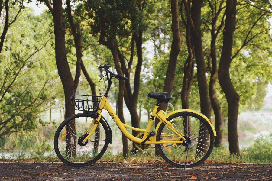 a bike on a nature path