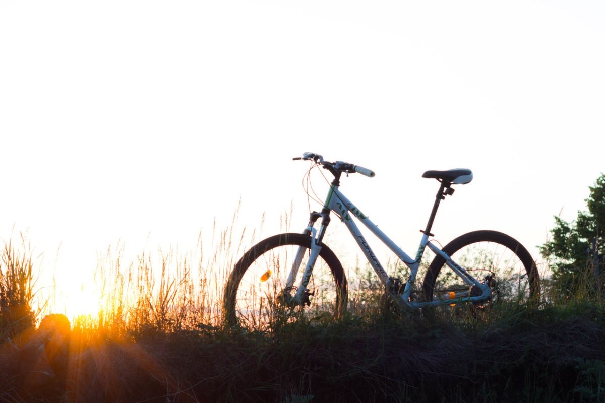 bike in grass