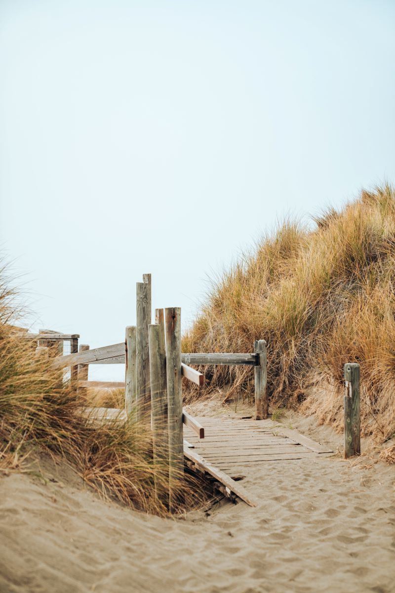 walkway on dauphin island
