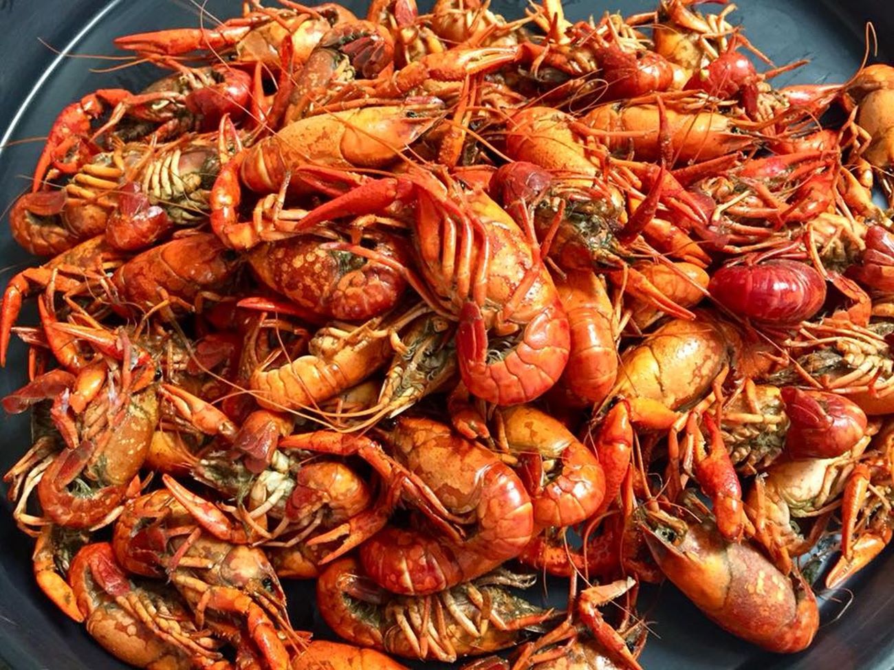 cooked crawfish from dauphin island