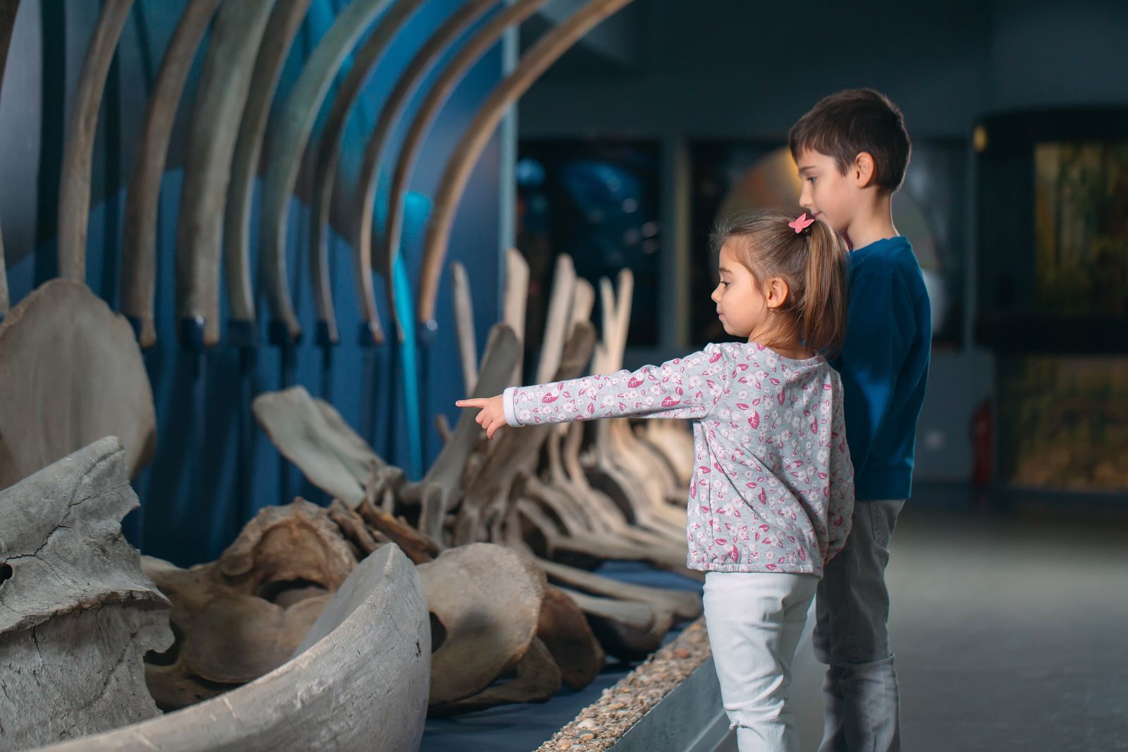 brother and sister looking at large animal skeleton in a museum