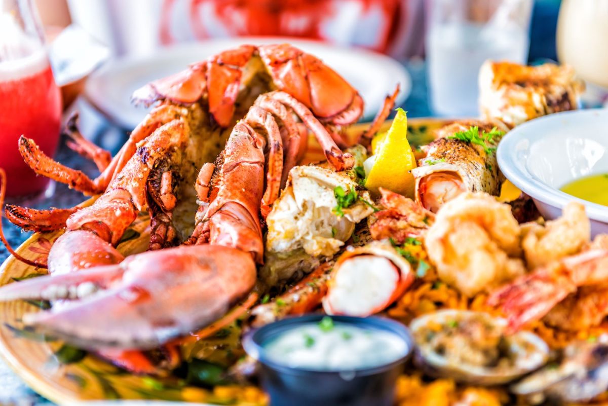 plate of seafood from dauphin island restaurant